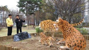 대구 달서구 선사시대로(路) 테마거리 5년만에 완성