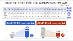 서울 초미세먼지 20년 새 40% 줄었다…오존 관리도 강화