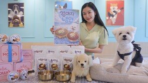 반려견도 여름에 빙수-냉면 즐기고 미스트 뿌린다