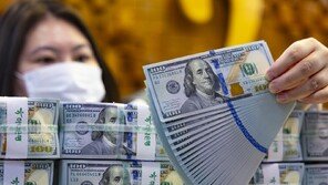 美 달러 가치 상승에 4월 외환보유액 42.2억 달러 증가