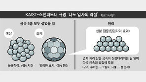 금속 많이 섞을수록 더 균일… KAIST ‘나노 입자 역설’ 풀었다
