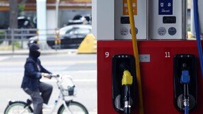 정부, 5차 석유최고가 또 동결 “가격통제 당분간 계속”
