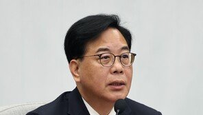 오빠·따까리·컨설팅…국힘 “민주당 망언 참 다채롭다”
