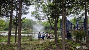 ‘서울숲 정원박람회’ 슬기롭게 즐기는 법[김선미의 시크릿가든]