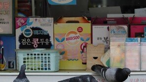 [고양이 눈]로또 명당