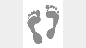 [책의 향기]변혁을 원하는가… 반 발만 앞서가라