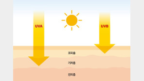 기미·주근깨 막는 가장 강력한 방패는 자외선 차단제