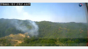 대구 군위 야산 불…헬기 6대 투입해 1시간 만에 주불 진화
