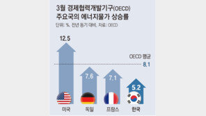 OECD, 에너지물가 1년새 8% 급등… 중동發 ‘워플레이션’ 초비상