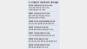 반도체 뜨자 “공장 유치” 공약 봇물… ‘공수표’ 우려속 기업은 곤혹