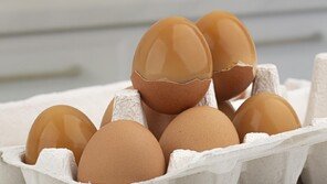 알츠하이머병 예방법은 달걀 섭취? 美 연구진 분석