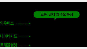 카드에 K팝 입히니 발급 2배… 외국인 공략 나선 K금융