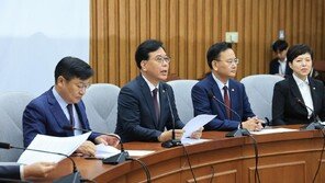 국힘 “검찰 지휘부, 상갓집 개만도 못한 신세”