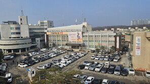 “꽃 보고 쉬고 즐기고”…고양국제꽃박람회 34만명 다녀가