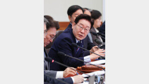 野 겨눈 李 “국회 합의한 법안도 필버, 웬만하면 시행령으로 하라”