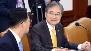 조현 “비행체 쐈을 주체, 이란만 해도 여럿 아닌가…민병대 가능성도 있다”