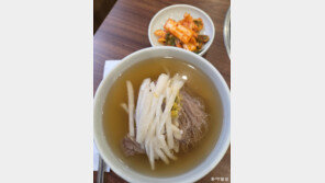 ‘우필을’ 찍고 ‘진서광’ 가볼까… 올해의 평양냉면 BEST 10 [이설의 한입 스토리]