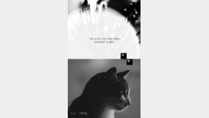 [책의 향기/밑줄 긋기]아무튼, 새벽