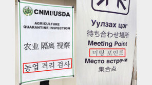 “세종대왕이 탄식할 일”…세계 곳곳에 한글 오역 ‘수두룩’