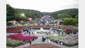 울산대공원 장미축제 20일 개막…300만 송이 장미 물결