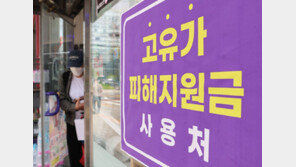 대형마트 “고유가 피해지원금, 점포 내 임대매장서 사용 가능”