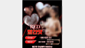 오피스텔 25채 빌려 외국인 여성 성매매…조폭 등 22명 검거
