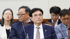 노동차관 “삼성전자 파업, 긴급조정 없이 해결에 역점”