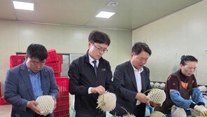 전남농협 보급형 스마트팜 확대…올해 300농가 설치