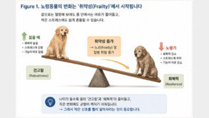 [반려동물 20세 시대] 우리 아이가 달라졌어요