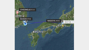 “드론 때문에 인천공항까지 갔다”…김해공항 활주로 폐쇄에 벌어진 일