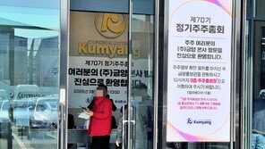 ‘이차전지 대장주’ 금양, 결국 상장폐지 결정