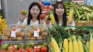 강원 찰토마토-밀양 초당옥수수… 5월에 맛보는 ‘여름 제철 농산물’