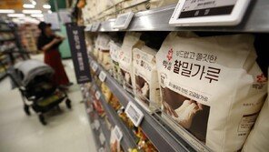 밀값 12% 뛰고 옥수수 7%… 중동전쟁에 국제 곡물가격 급등