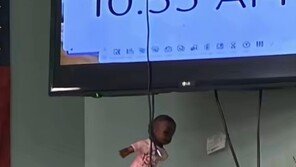 “주의 끌려고 흑인 인형 전시”…인종차별 논란 美 교사 파면
