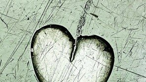 [고양이 눈]사랑의 상처