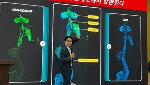 단백질 부족하면… 장이 뇌에 “아미노산 먹어” 신호