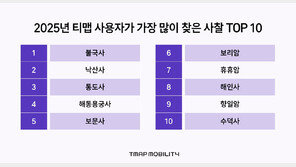 ‘부처님 오신날’ 사찰 가볼까…작년 인기 1위는?