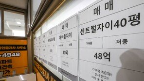 1주택자 매물도 ‘실거주 유예’…29일부터 전면 시행