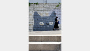 [고양이 눈]바라보다