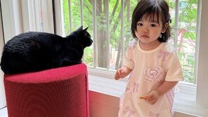 박수홍, 반려묘 방치 의혹에…딸·다홍이 근황 사진 공개