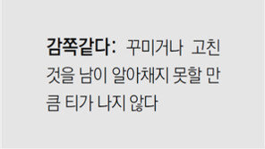 [신문과 놀자!/미션 나의 문해력]감쪽같다