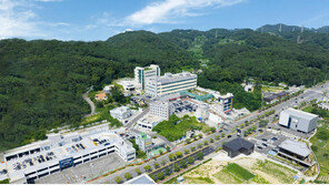 “서울 병원 안 가도 된다” 포항에서 세계 수준 뇌졸중 치료