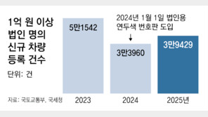 국세청 “법인명의 슈퍼카 사적유용 엄정 세무조사”
