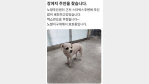 길 잃고 헤메던 강아지, 배달기사·경찰 도움으로 주인 찾아