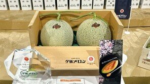 “과일 값이 왜 이래?”…日 멜론 두 통에 ‘5500만원’ 역대 최고가