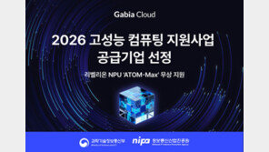 [뉴스줌인] 외산 GPU와 국산 NPU, ‘투트랙’으로 가는 AI 인프라 지원 정책