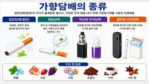 청소년 첫 흡연 77%는 맛-향 첨가한 ‘가향담배’