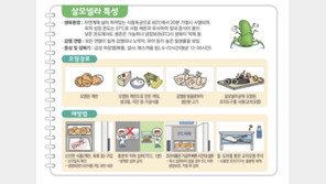 여름 같은 5월…식중독 일으키는 ‘이 균’ 주의보