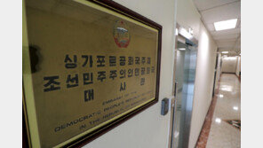 北-싱가포르 외교장관 회담…“친선협조 강화발전”
