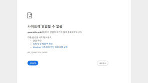 “삼전닉스 2배로 베팅” 몰린 개미들…금투협 서버 마비